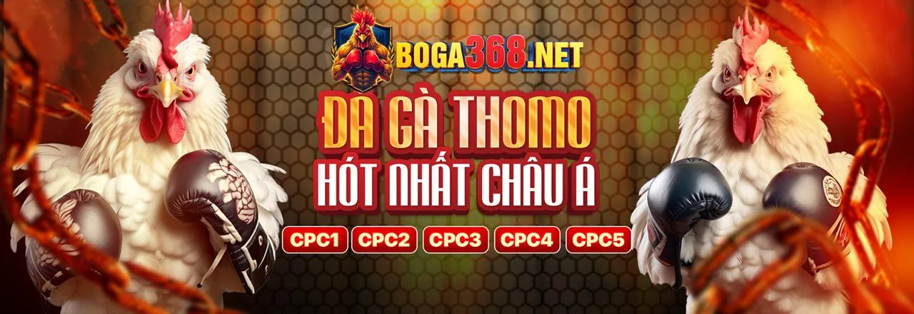 Đá Gà Trực Tuyến tin88 - Nền tảng cá cược hàng đầu
